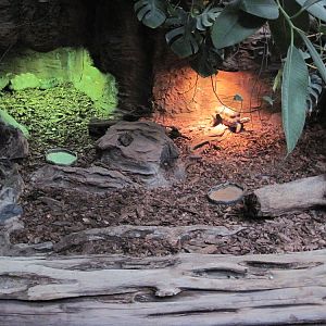 Inside the Reptile House