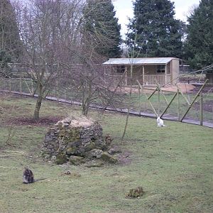 The old and the new 22nd February 2013