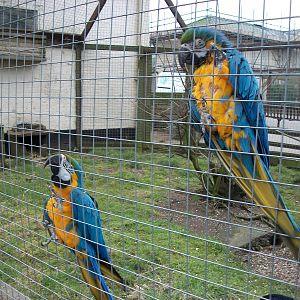 Sewerby Zoo, Monty and Millie 23nd February 2013