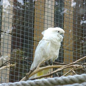 Zoo Barcelona 14.09.2009