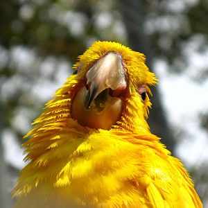 Zoo Barcelona 14.09.2009