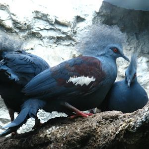 Zoo Barcelona 14.09.2009