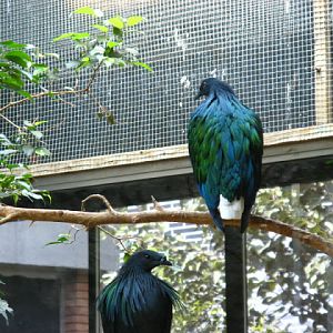 Zoo Barcelona 14.09.2009
