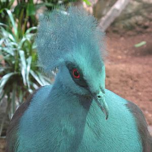 Zoo Barcelona 14.09.2009
