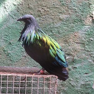 Zoo Barcelona 14.09.2009