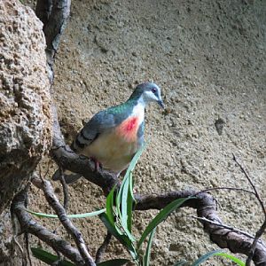 Zoo Barcelona 14.09.2009