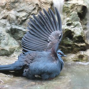 Zoo Barcelona 14.09.2009