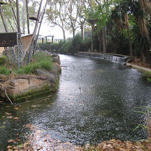 Zoo Barcelona 14.09.2009