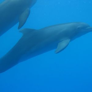 Zoo Barcelona 14.09.2009