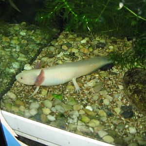 Zoo Barcelona 14.09.2009