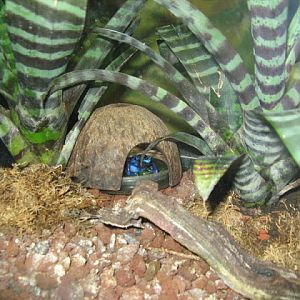 Zoo Barcelona 14.09.2009