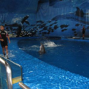 Zoo Barcelona 14.09.2009