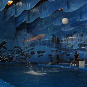 Zoo Barcelona 14.09.2009