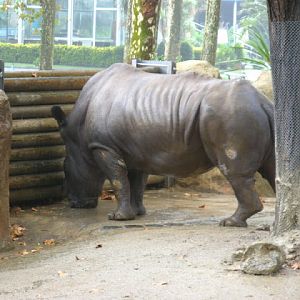 Zoo Barcelona 14.09.2009