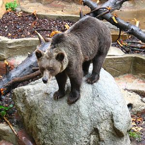 Zoo Barcelona 14.09.2009