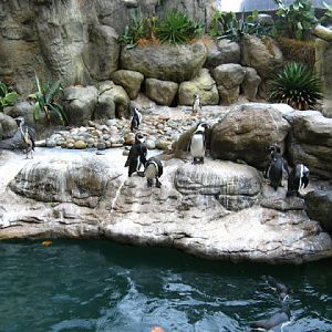 Zoo Barcelona 14.09.2009