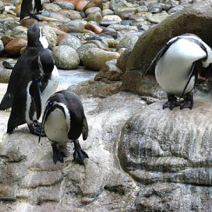 Zoo Barcelona 14.09.2009