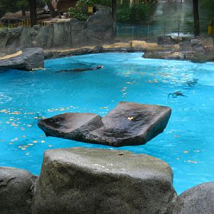 Zoo Barcelona 14.09.2009