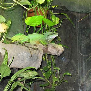 Zoo Barcelona 14.09.2009