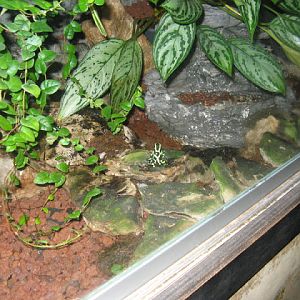 Zoo Barcelona 14.09.2009