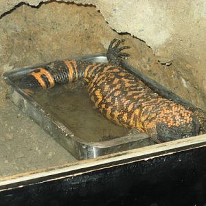 Zoo Barcelona 14.09.2009