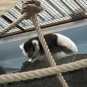 Zoo Barcelona 14.09.2009