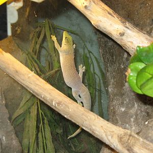 Zoo Barcelona 14.09.2009