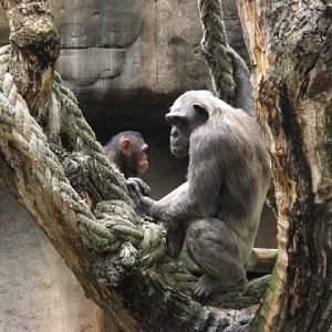 Zoo Barcelona 14.09.2009