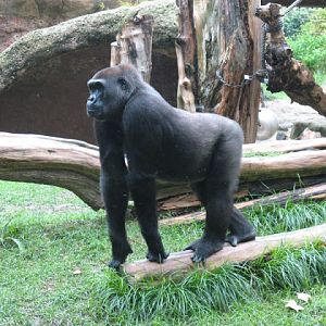 Zoo Barcelona 14.09.2009