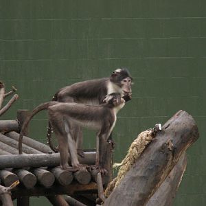 Zoo Barcelona 14.09.2009