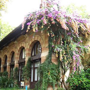 Zoo Barcelona 14.09.2009