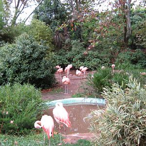 Zoo Barcelona 14.09.2009