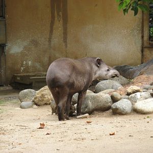 Zoo Barcelona 14.09.2009