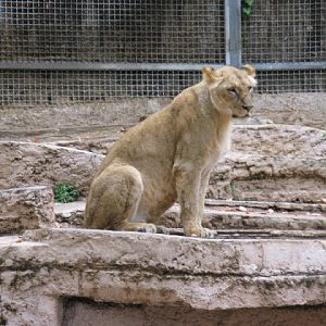 Zoo Barcelona 14.09.2009