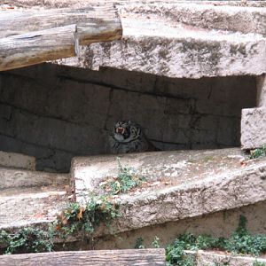 Zoo Barcelona 14.09.2009