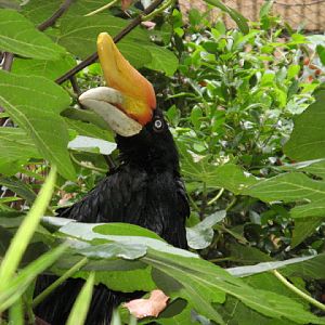 Zoo Barcelona 14.09.2009
