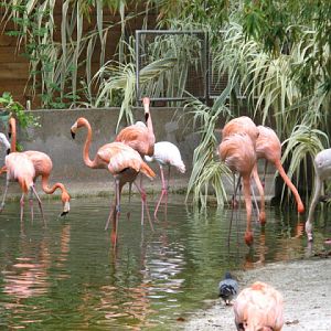 Zoo Barcelona 14.09.2009