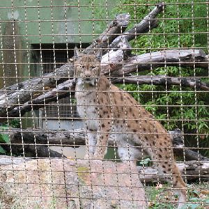 Zoo Barcelona 14.09.2009