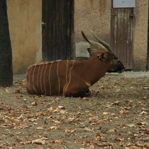 Zoo Barcelona 14.09.2009