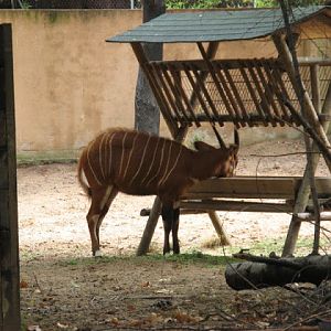 Zoo Barcelona 14.09.2009
