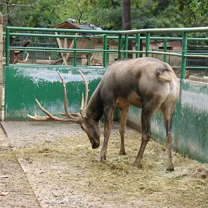 Zoo Barcelona 14.09.2009