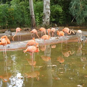 Zoo Barcelona 14.09.2009