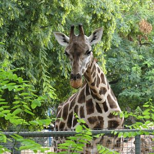 Zoo Barcelona 14.09.2009