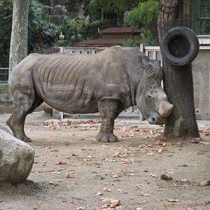 Zoo Barcelona 14.09.2009