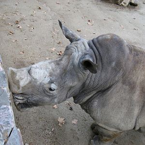 Zoo Barcelona 14.09.2009