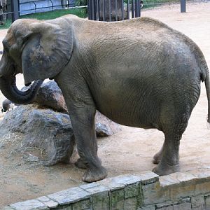 Zoo Barcelona 14.09.2009