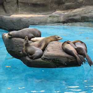 Zoo Barcelona 14.09.2009