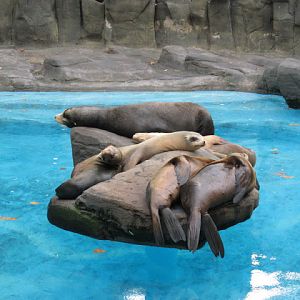 Zoo Barcelona 14.09.2009