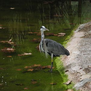Zoo Barcelona 14.09.2009