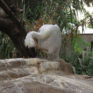 Zoo Barcelona 14.09.2009